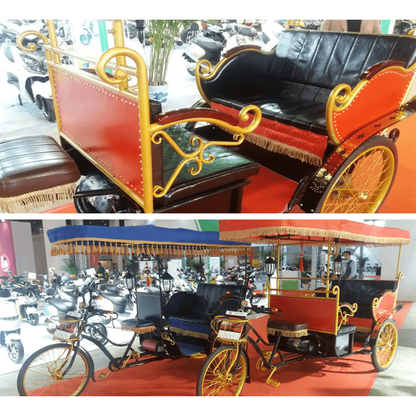 Tri Explorer™ Pedicab SILVER PACKAGE